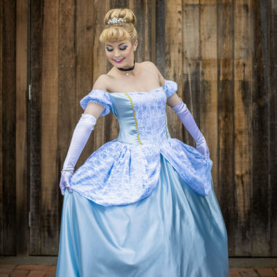 Fairytale Princess - Cinderella